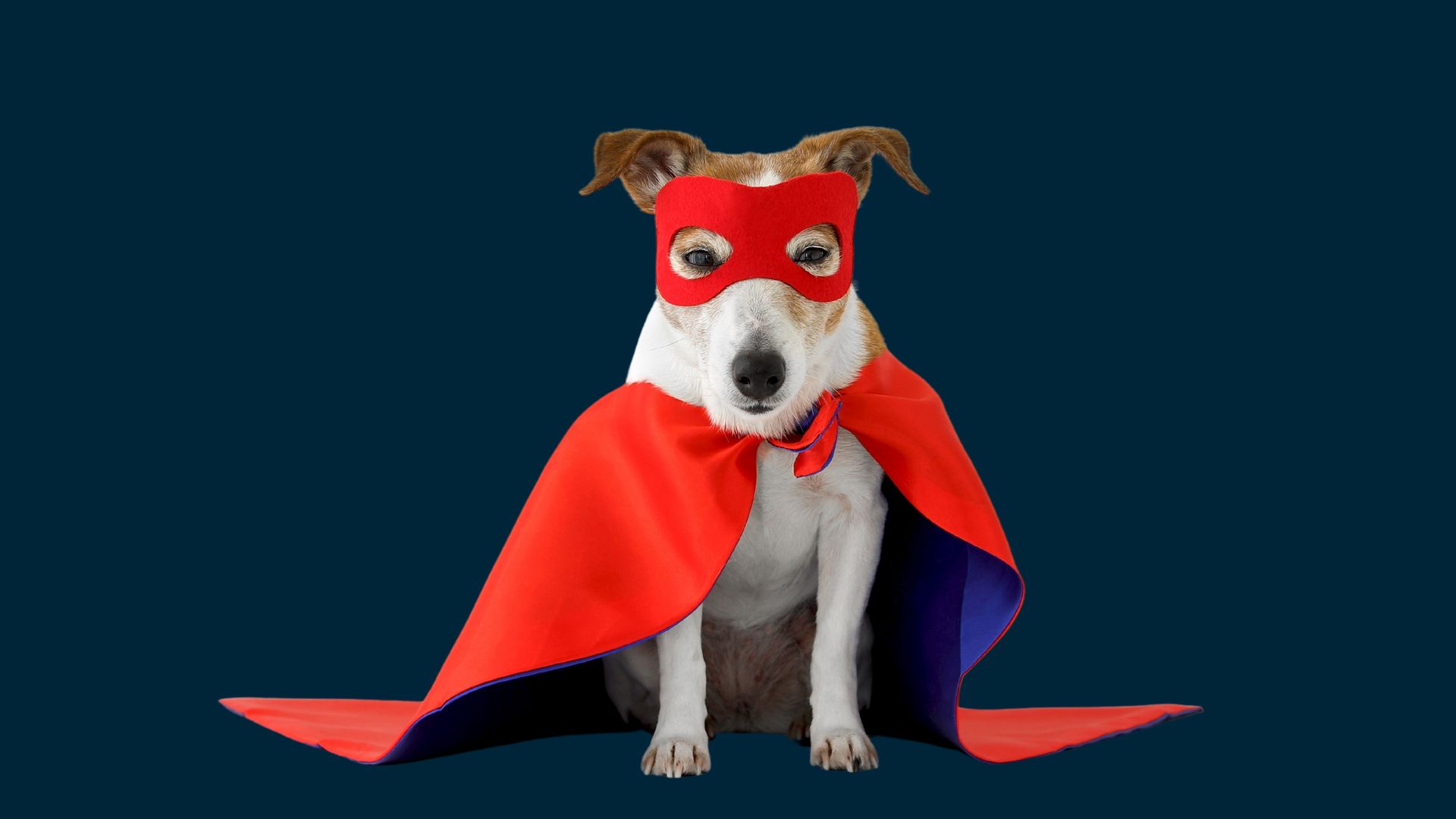 Optigro Pet Nutrition