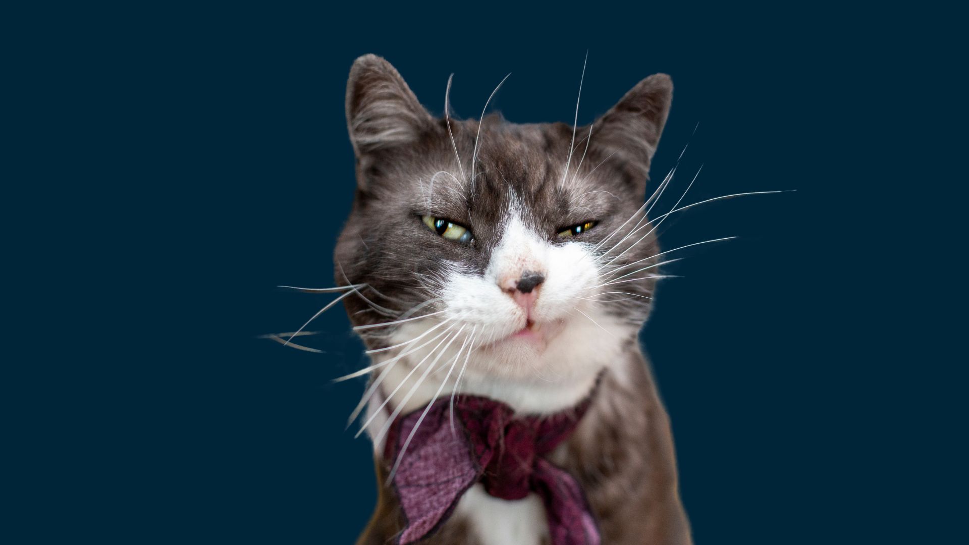 Optigro Pet Nutrition